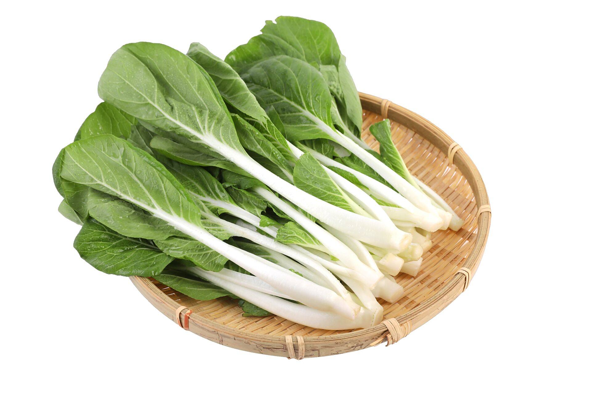 小白菜盘装png免抠图/摄影大图素材分享 需要高清大尺寸源文件图片