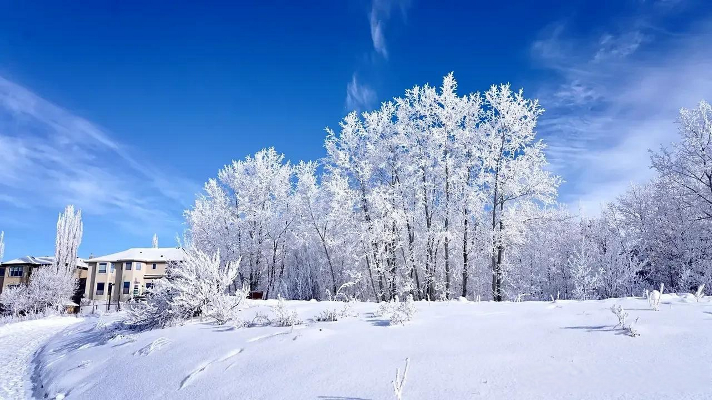 游加拿大雪乡,冰飞三月,一眼望去白雪纷飞.太美啦雪景!