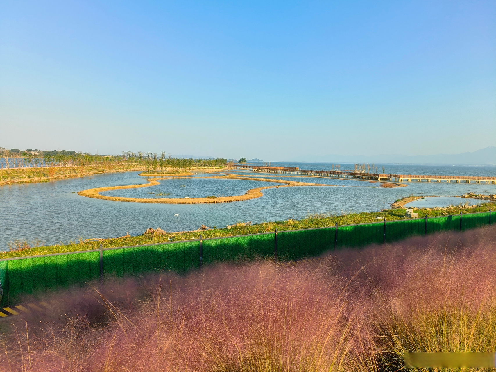 黄石大冶湖畔秋意浓#深秋时节的诗情画意##寻美黄石##寻美湖北# 寻美