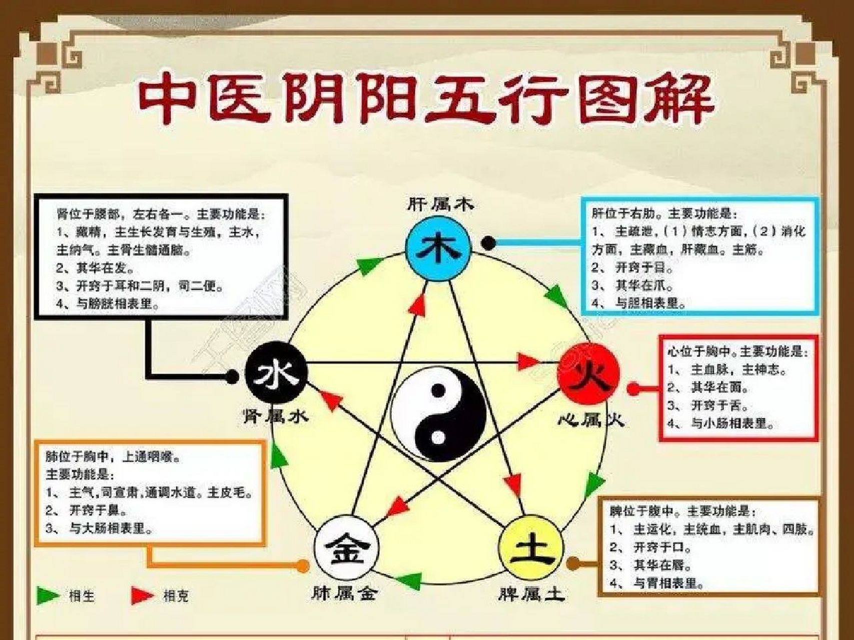 中医阴阳五行图解 中医阴阳五行图解