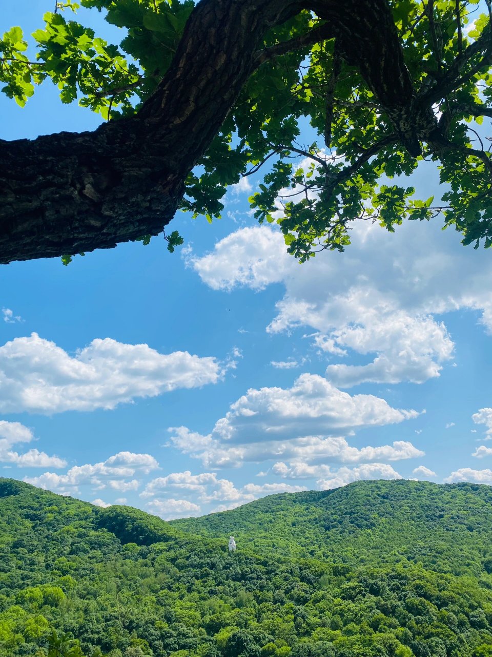 哈尔滨爬山 7215长寿山,风景很好!