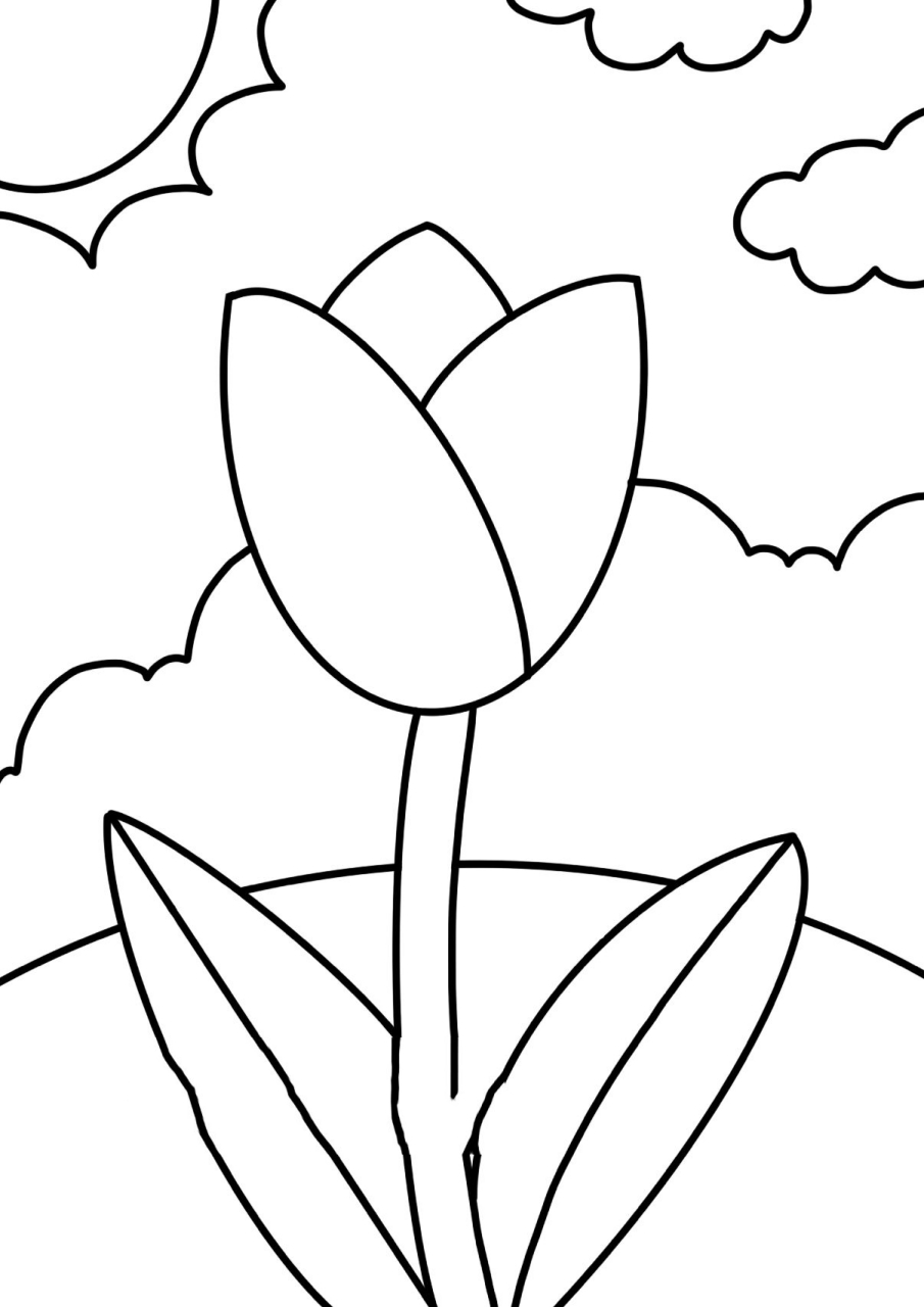 花朵简笔画~儿童画