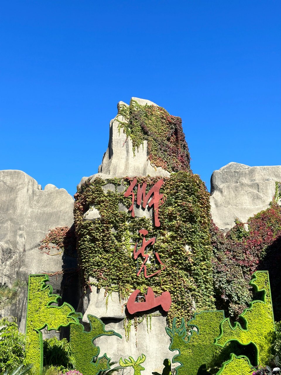 北京动物园 狮虎山 当年真的不敢自己坐上去拍照片.