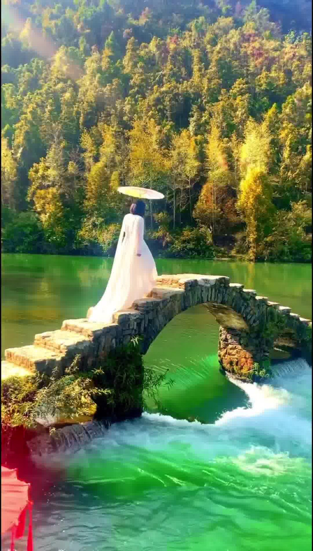 凤凰的天然氧吧丨长潭岗景区