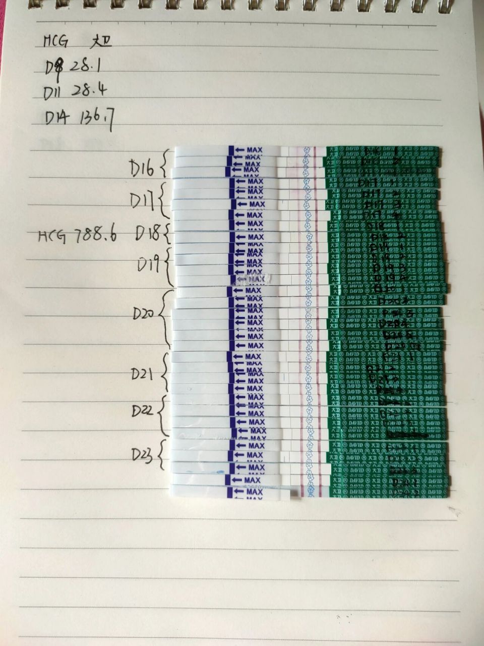 前几天三个试纸达到了强阳.于是整理在一起,发出来给姐妹作参考.