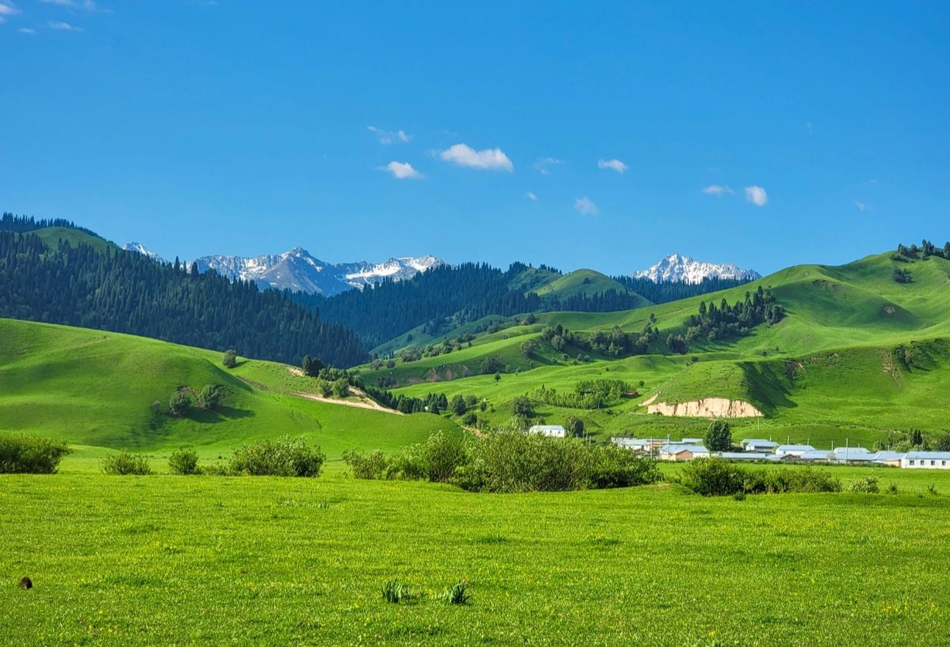 那拉提河谷草原 新源县地形东高西低,三面环山,西面的水汽像灌 入