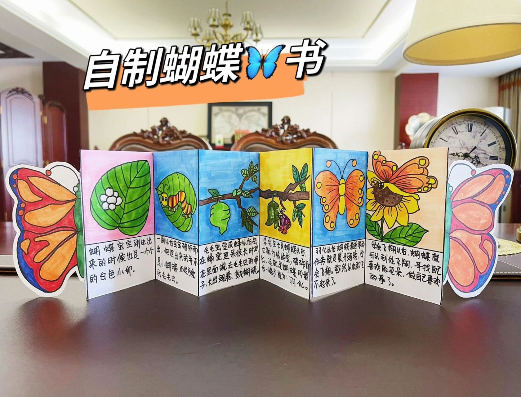 用一本简单的绘本故事,讲述毛毛虫蜕变成蝴蝶03的过程.