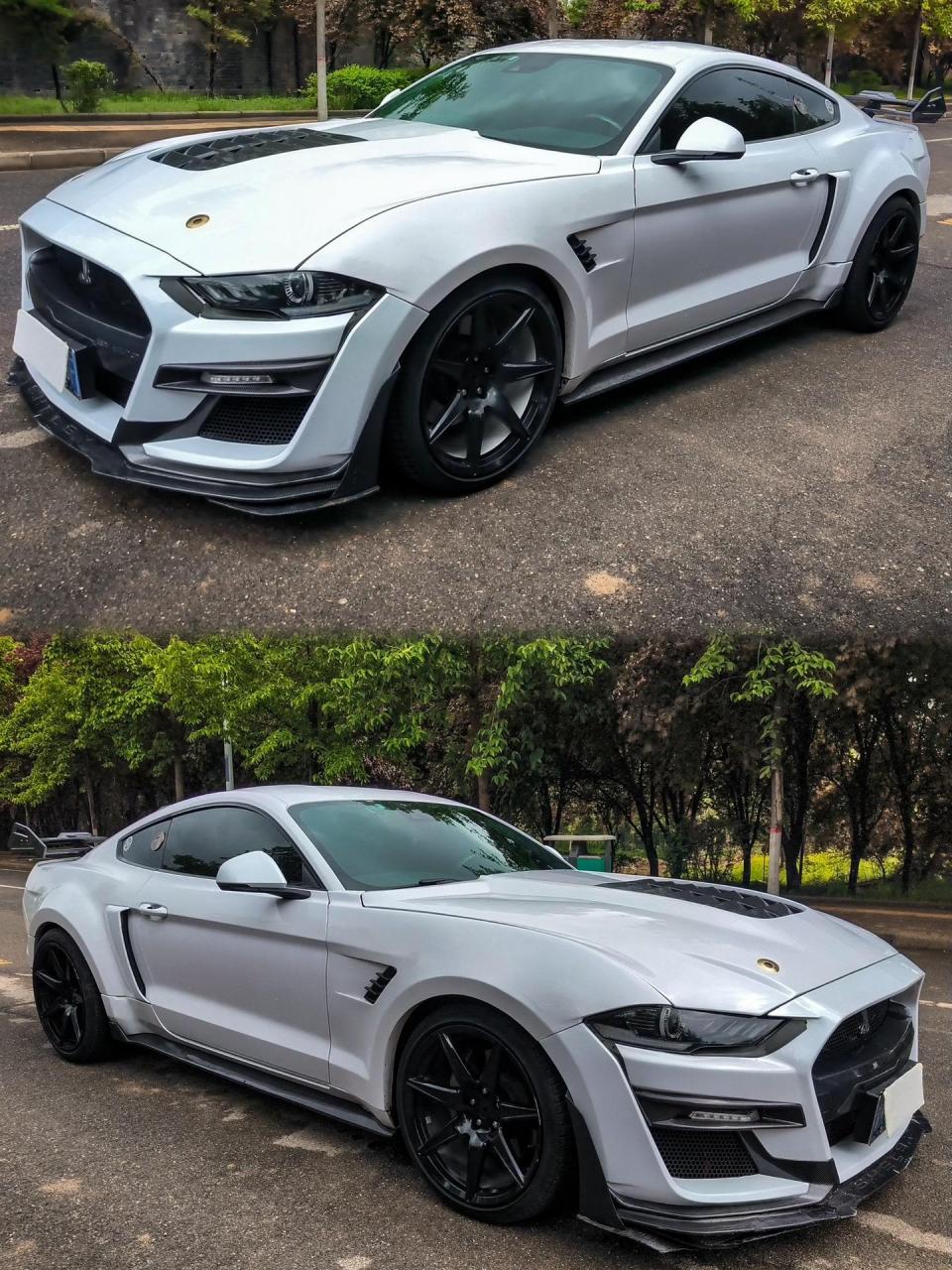 谢尔比gt500 2020款 2.