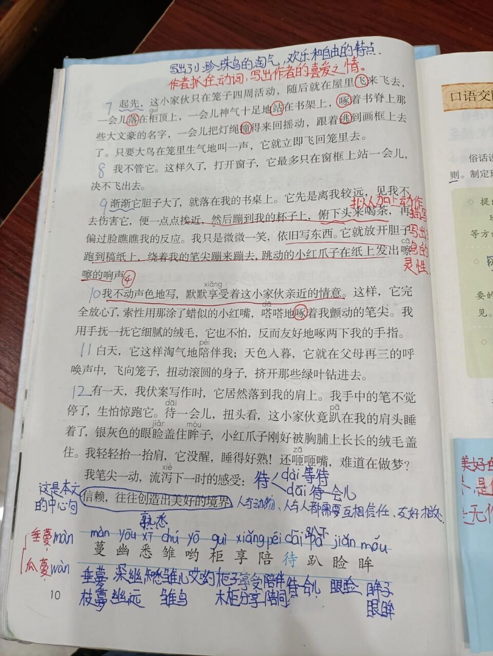人教版语文五年级上册 第四课 珍珠鸟 #五年级语文# #语文课# #五年级