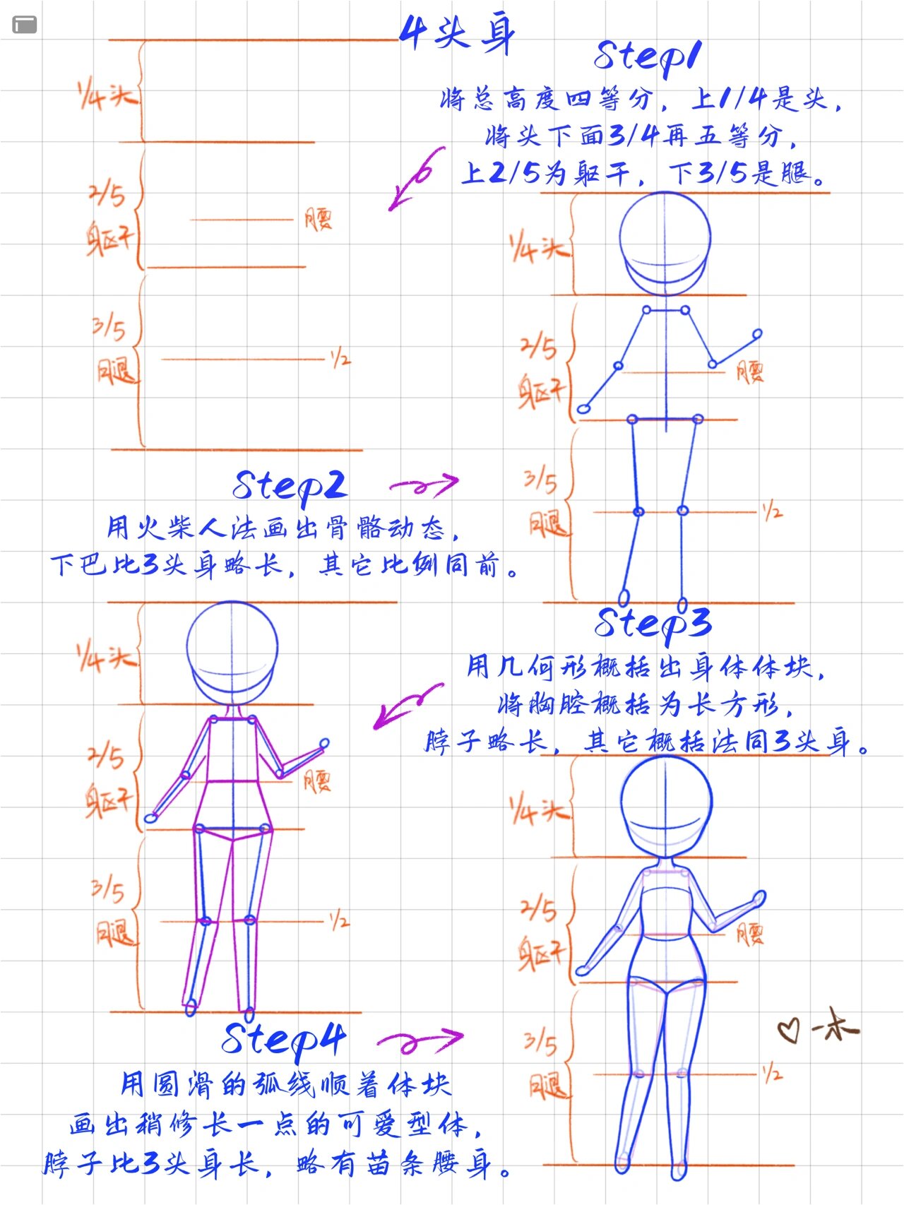 人物结构图图片