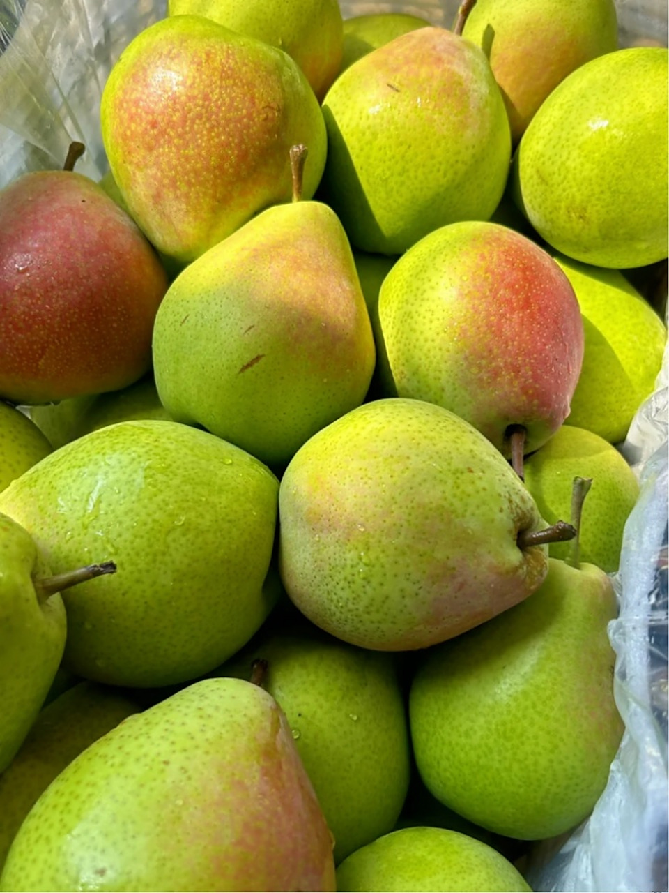 梨的图片 ❤️梨是一种重要的水果,属于蔷薇科