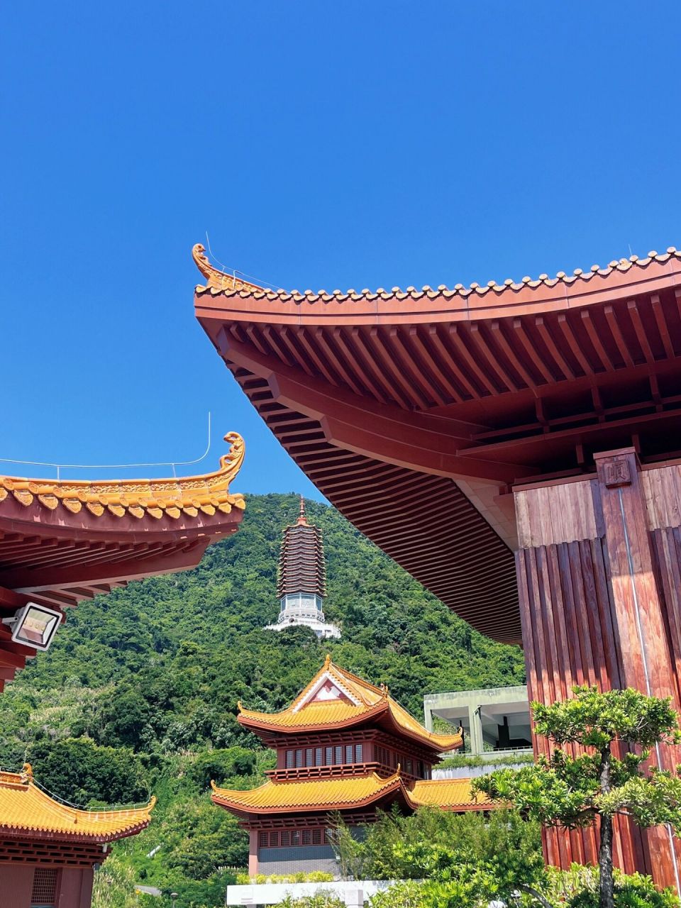 深圳最灵寺庙⛩️|弘法寺祈福指南 听说弘法寺是深圳最灵验的寺庙