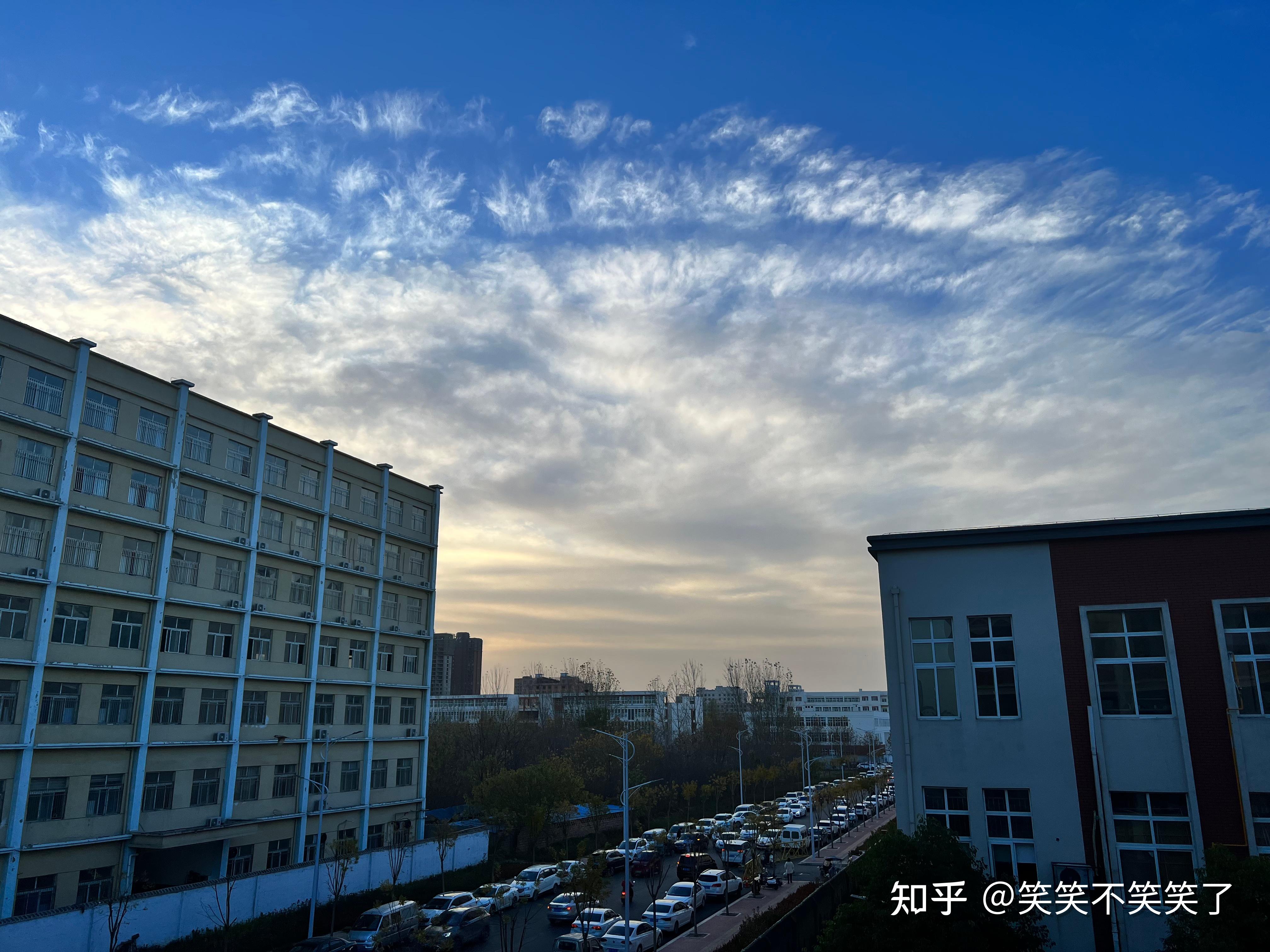 郸城一高一中复读基本情况