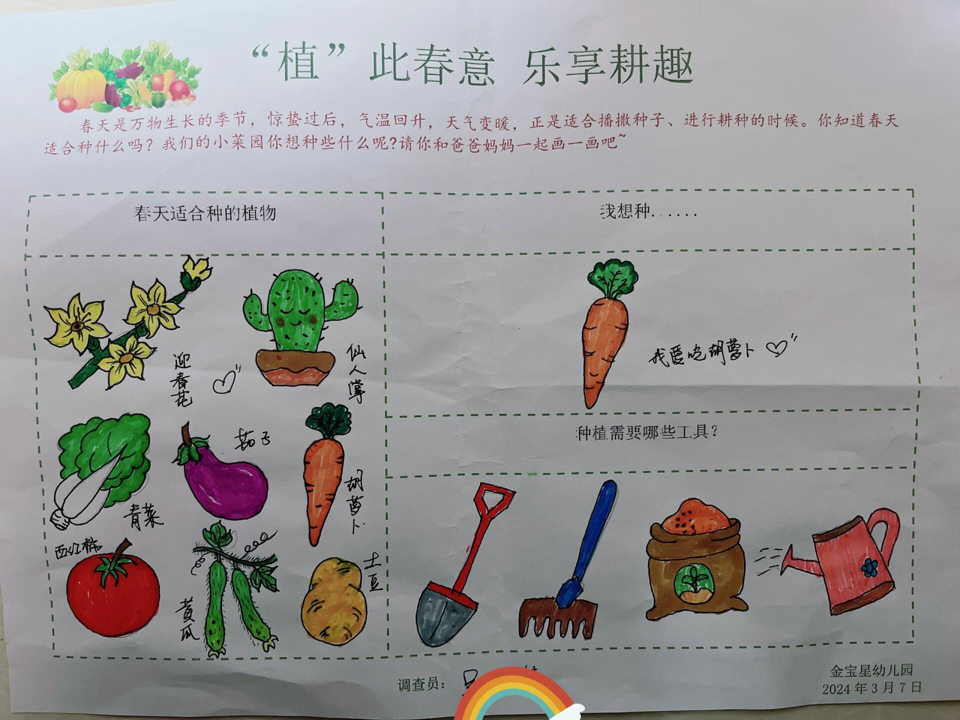 适合春天种的植物,幼儿园作业