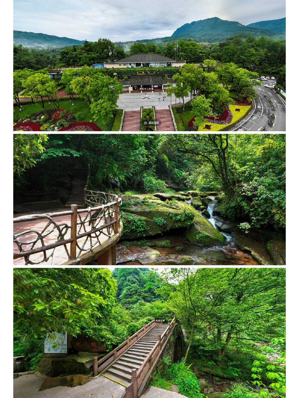 雅安碧峰峡美景及旅游导图 碧峰峡风景区由两条峡谷构成,左峡谷长7
