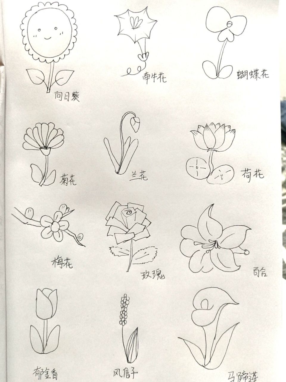 简笔画 花花94 第一个97看起来不太聪明的亚子.