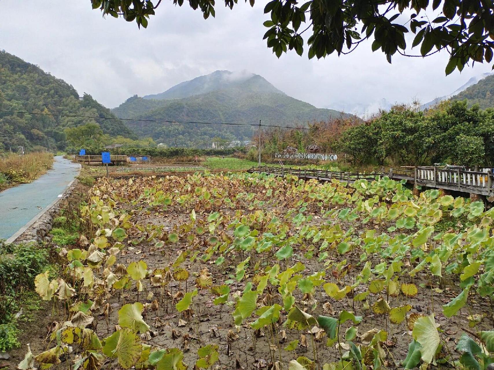 黄岩两岸三度图片