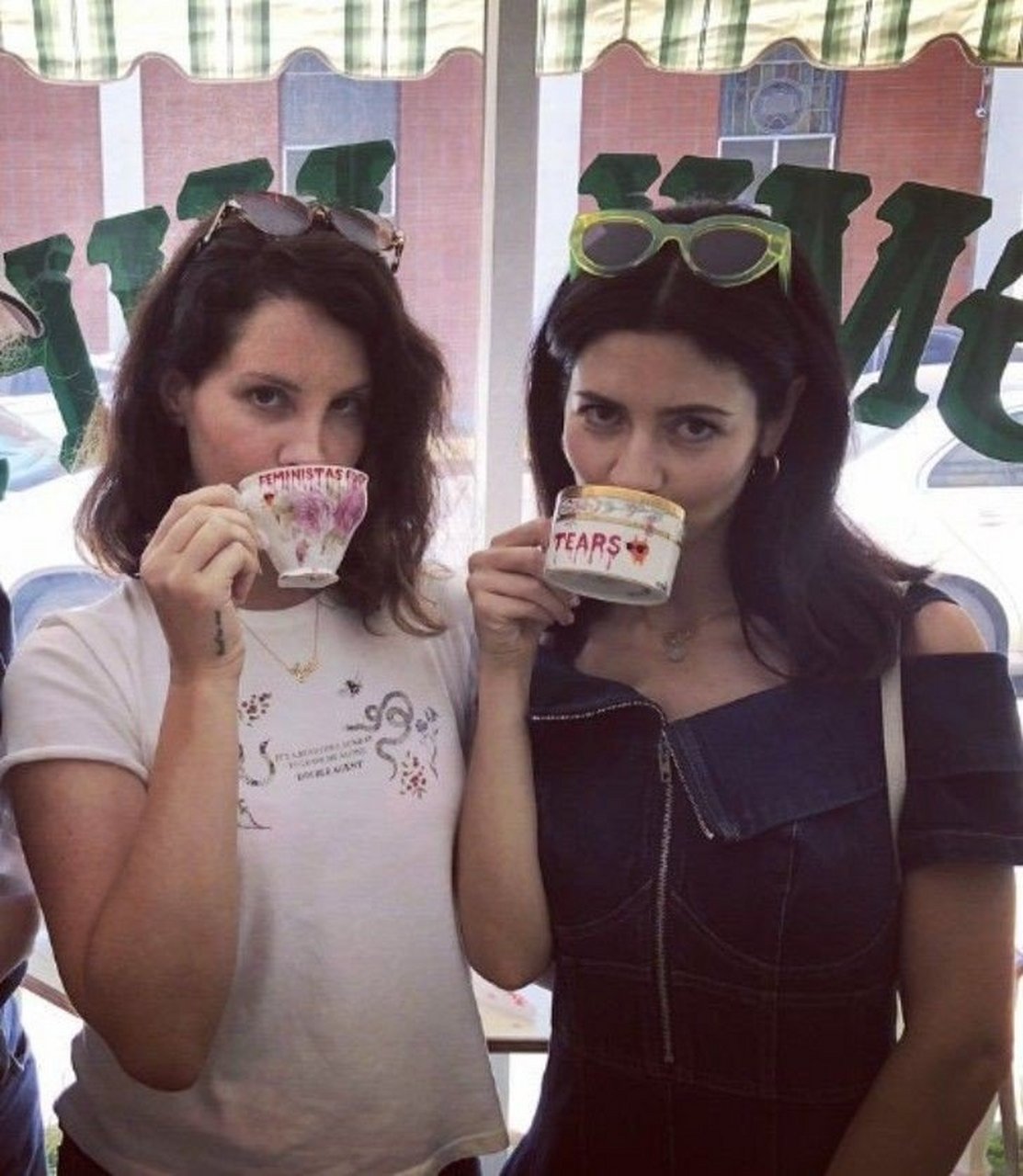 lana del rey & marina [心]  #超能新星汇# #marina# #音乐