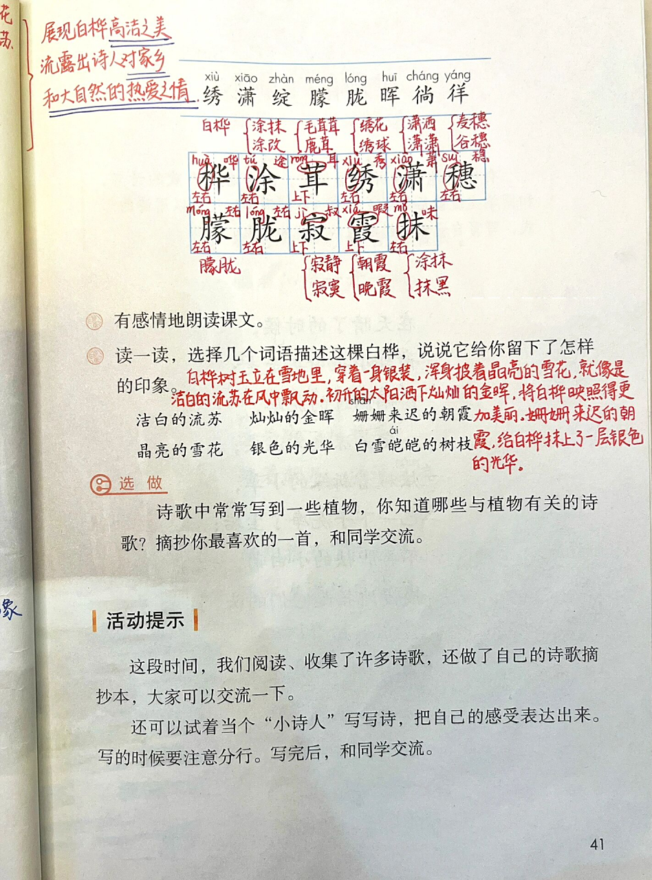 语文四年级下册第11课《白桦》课本笔记