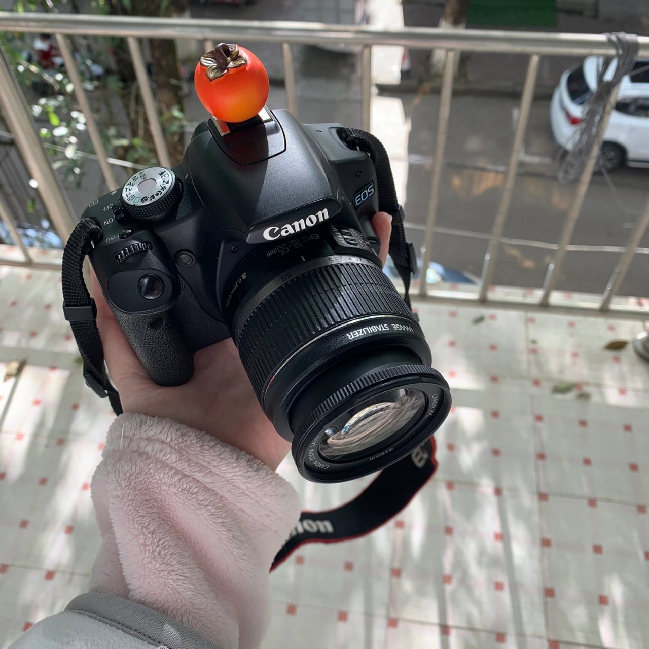 91 佳能500d 套机镜头(镜头有些霉点 画面有暗角导出来没有)都是小