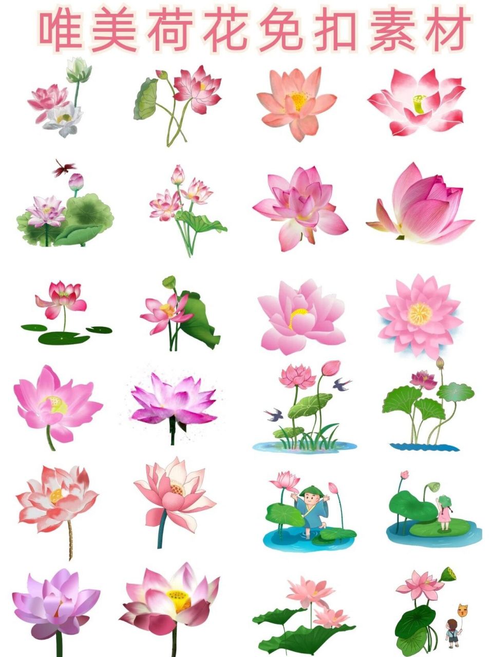 免抠|唯美荷花免扣素材合集 97荷花种类很多,分观赏和食用两大类