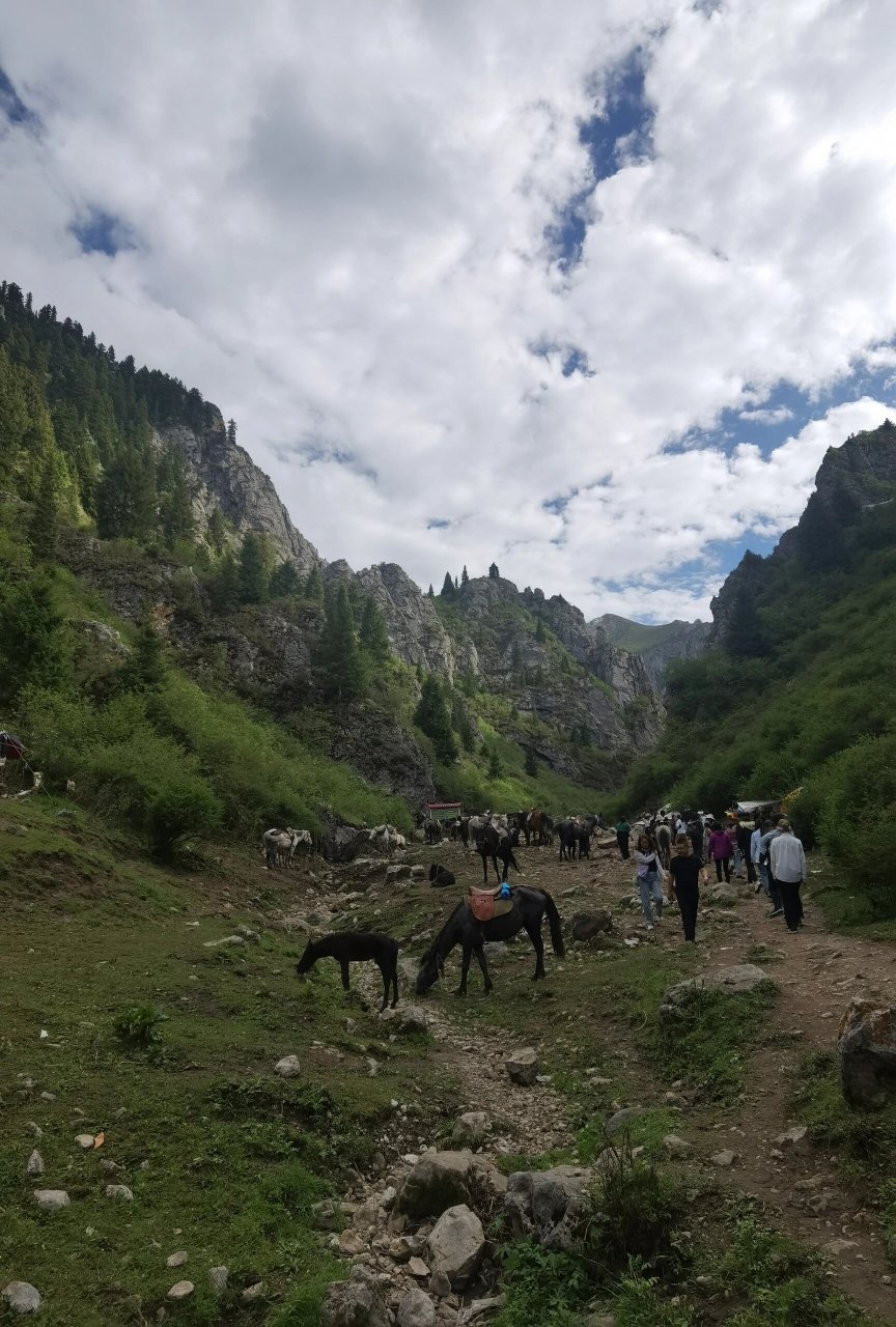 郎木寺纳摩大峡谷图片