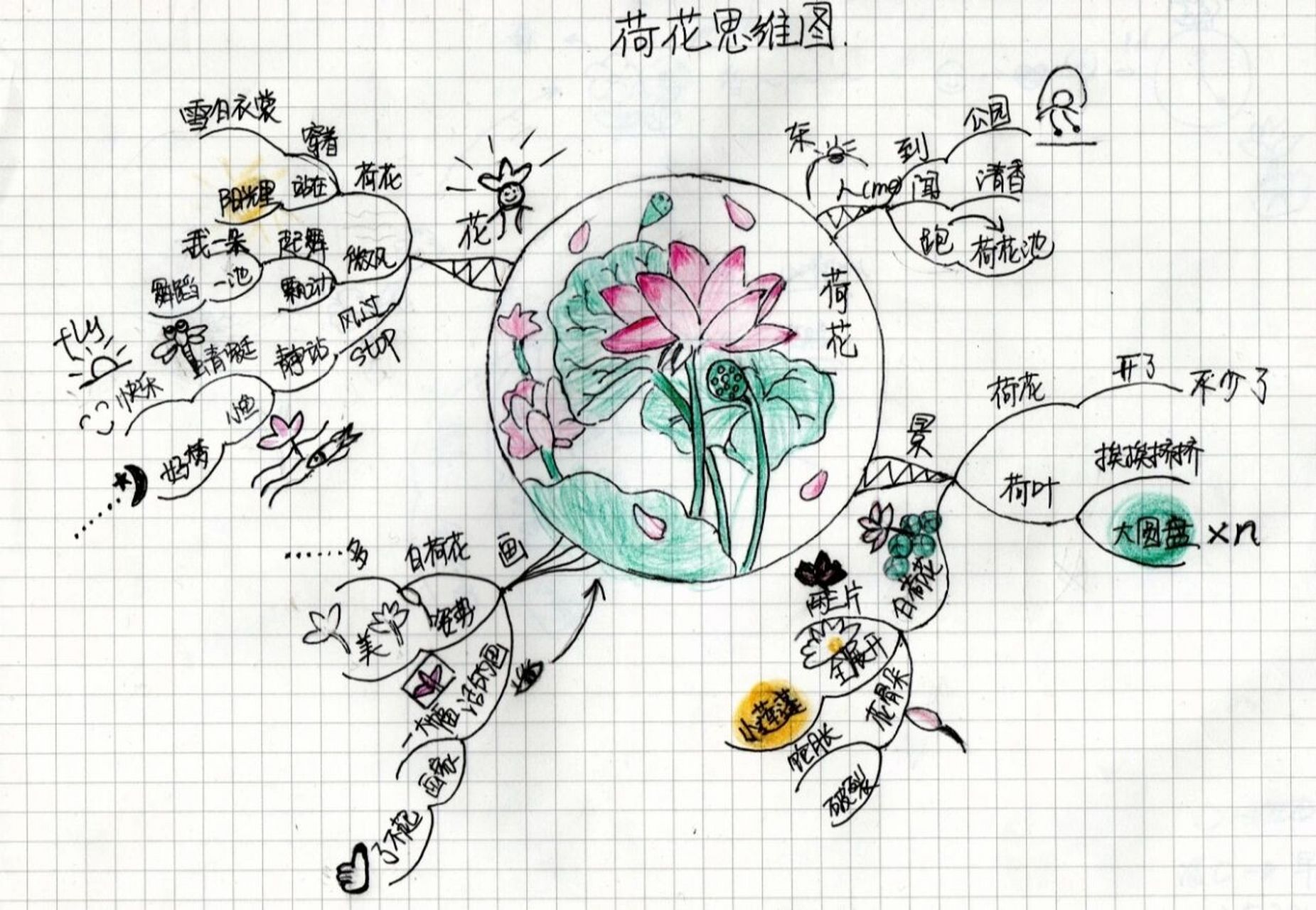 荷花的思维导图结构图图片