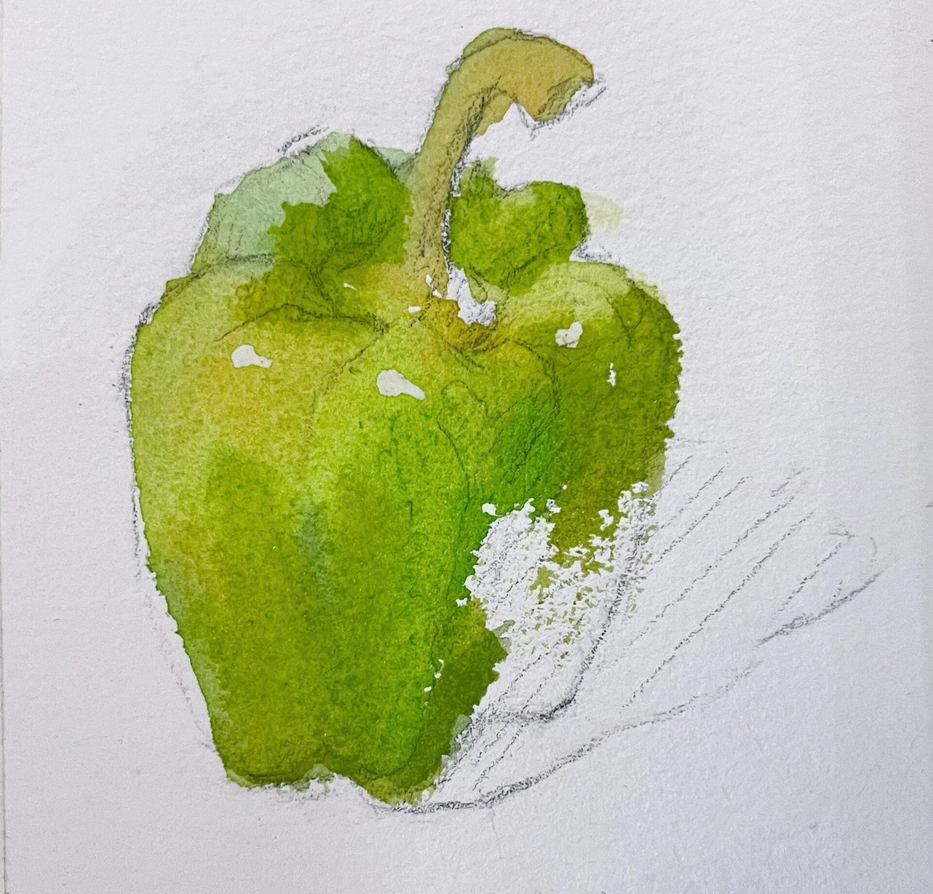 水彩静物单体步骤图——大辣椒