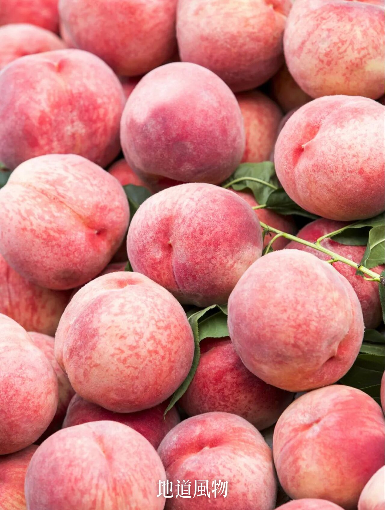 中国桃桃宇宙,究竟哪里的桃子更好吃?