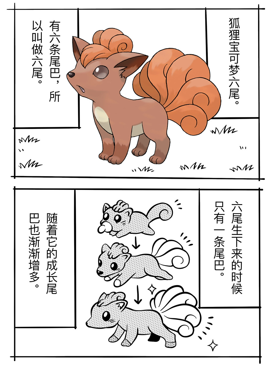六尾 pokemon哲学漫画  狐狸宝可梦 高0.6m 重9.