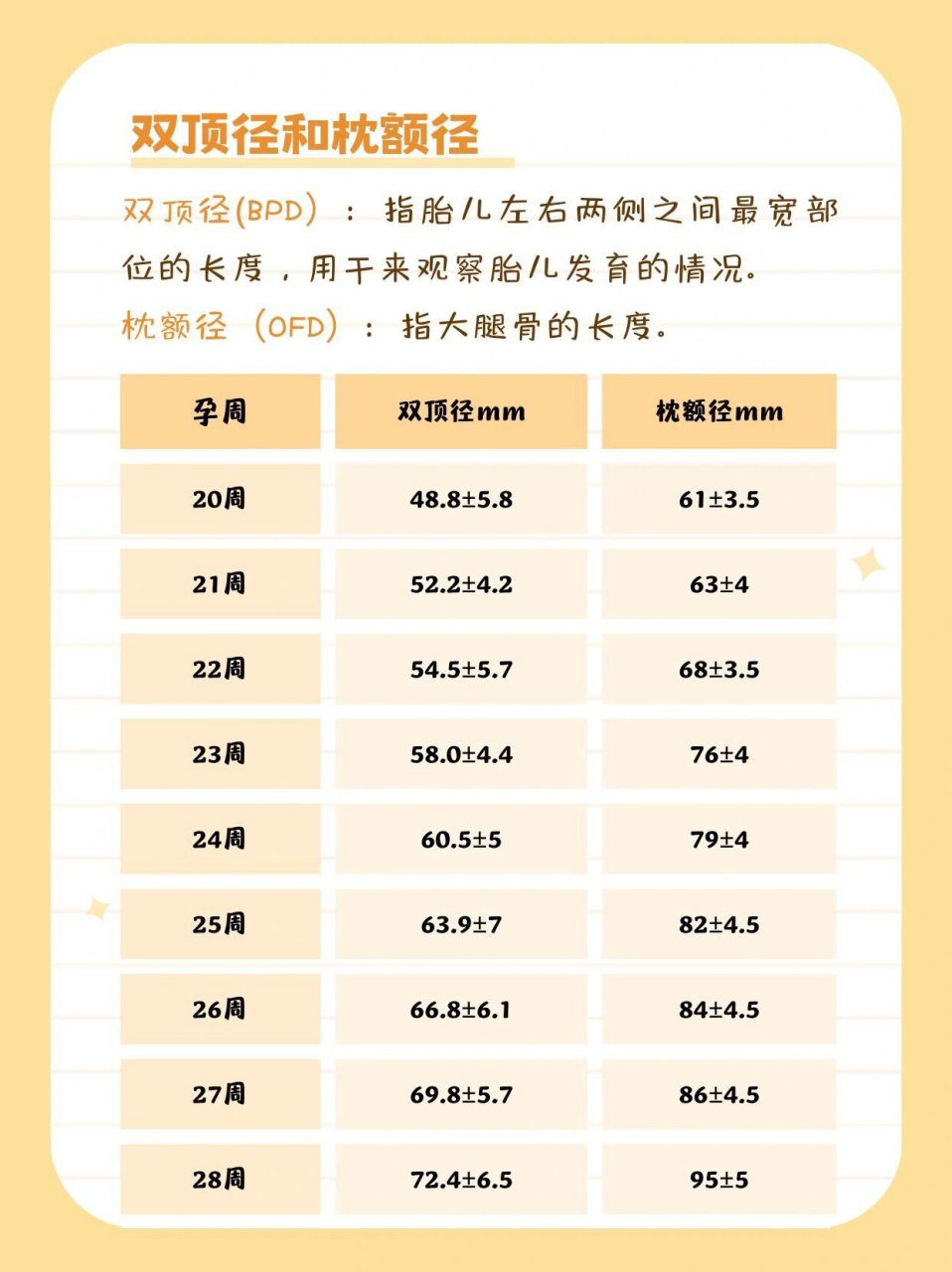 四维彩超重点关注哪些指标?数据多少正常?