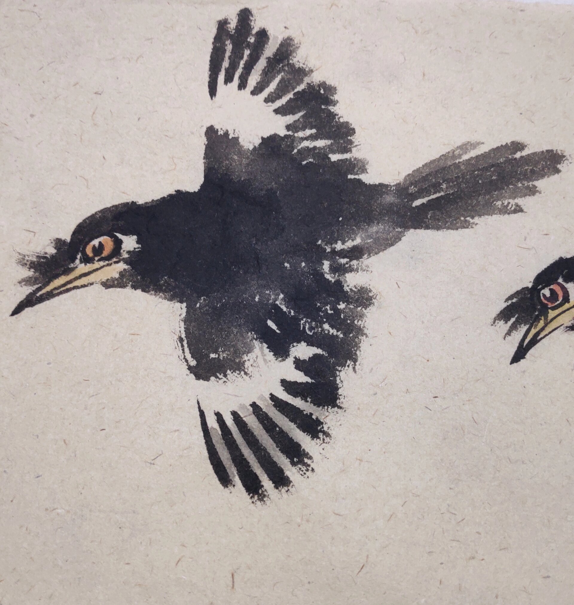 国画写意八哥不同姿态画法