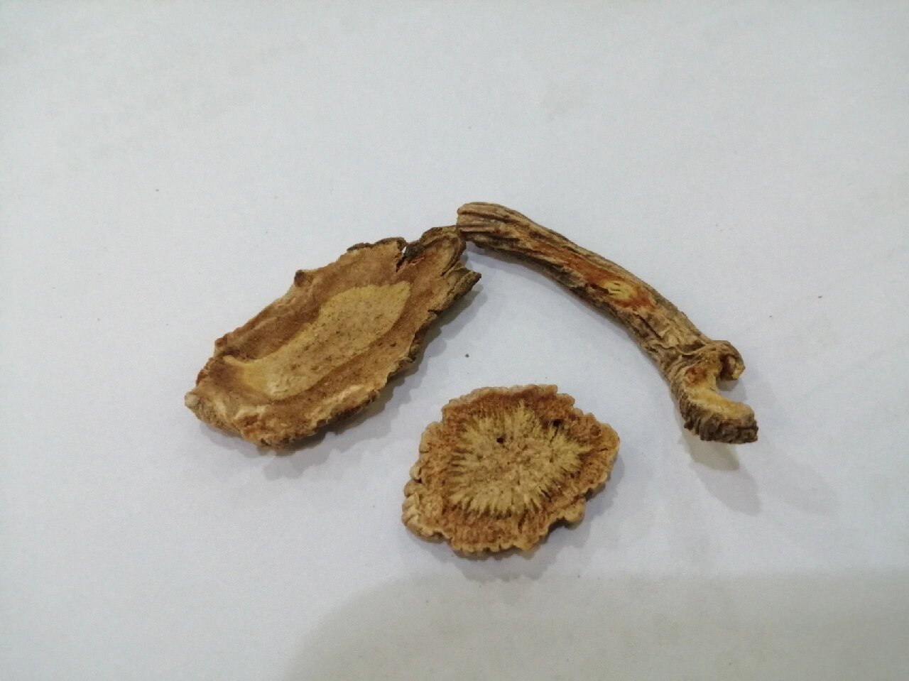 防风 性状鉴别:圆柱形,下部细,根头部有密集环纹,习称"蚯蚓头","披