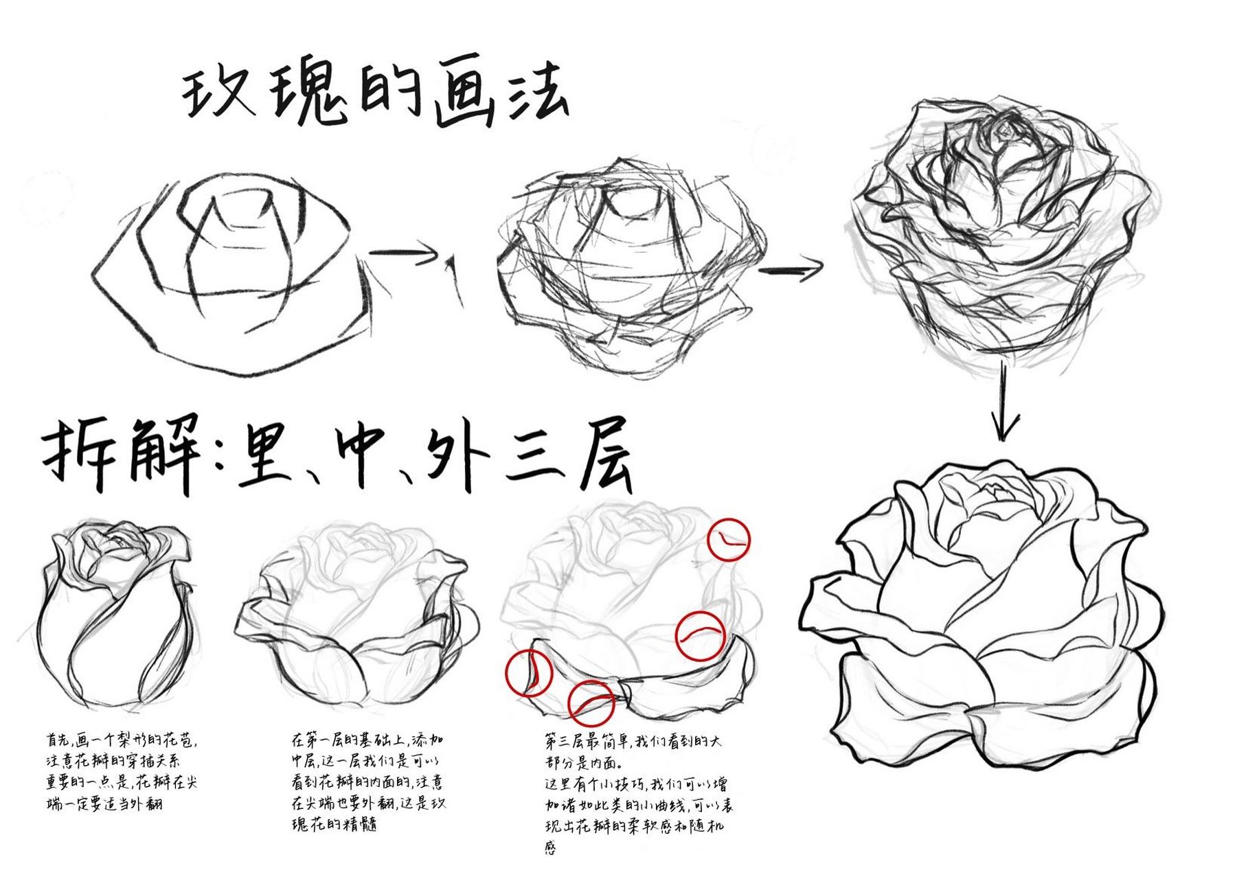 复杂的花怎么画步骤图片