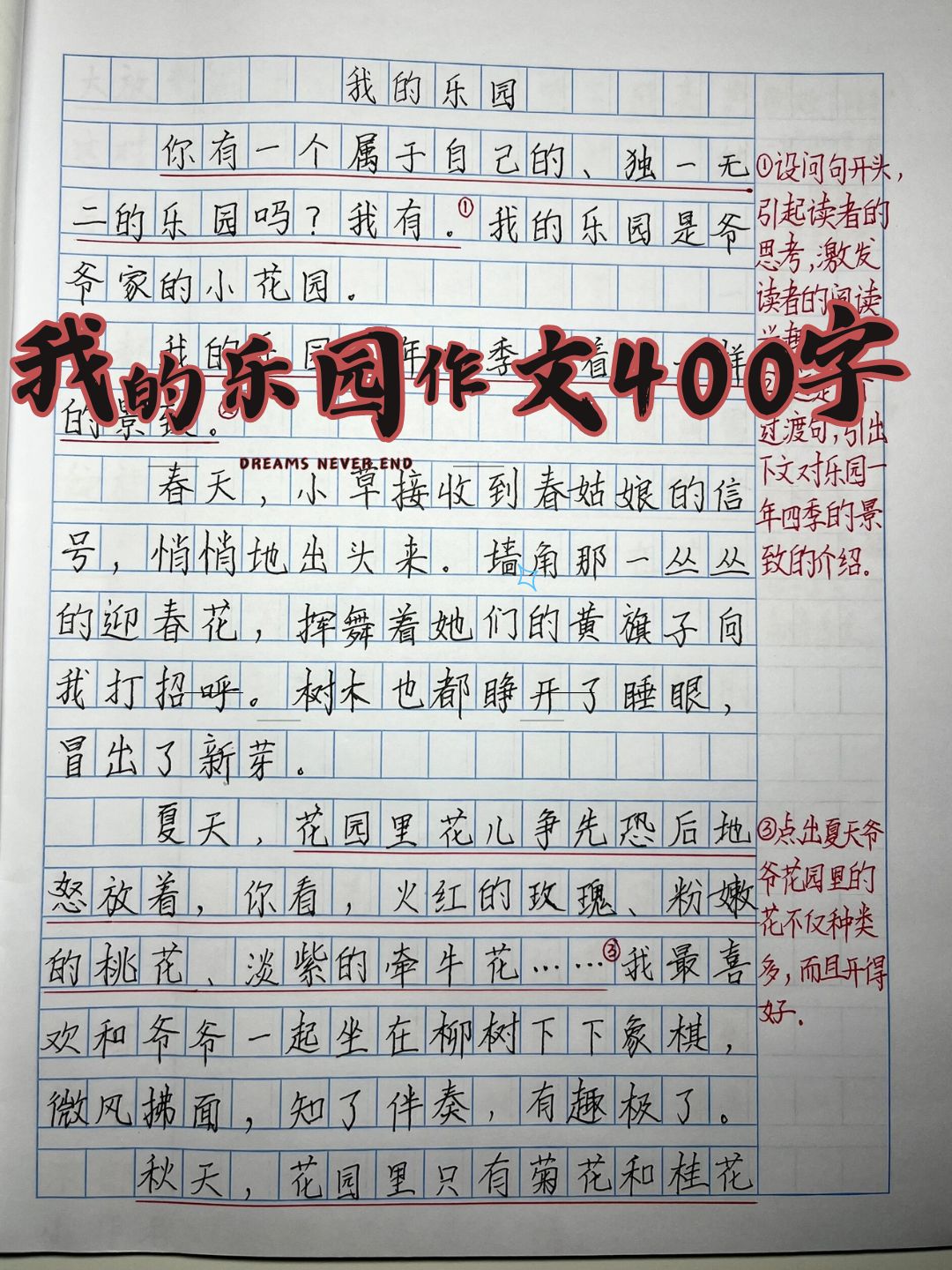 作文我的乐园400字图片