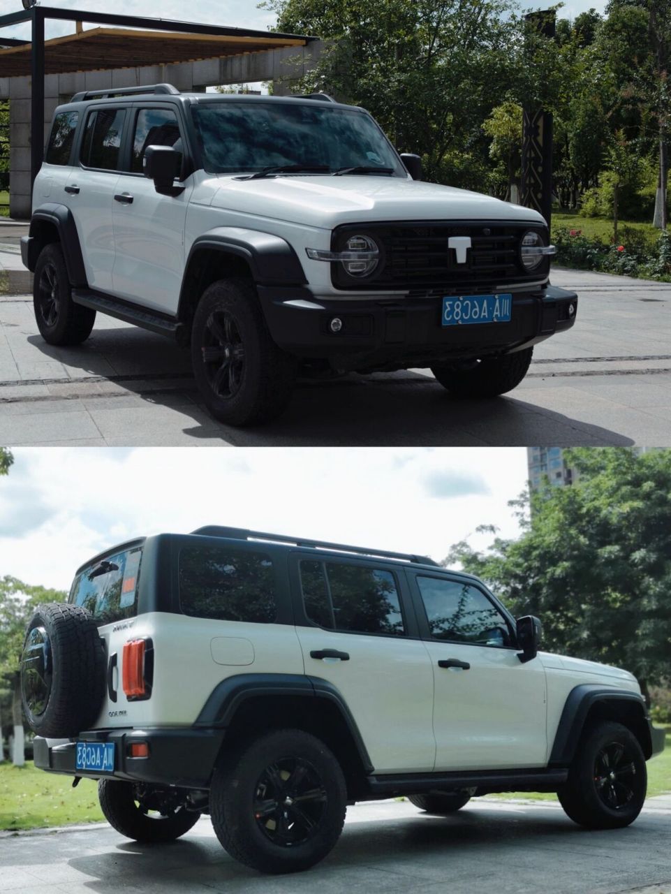 最美tank图鉴|坦克300·黑白经典双拼94 黑色的坦克300是霸气 白色