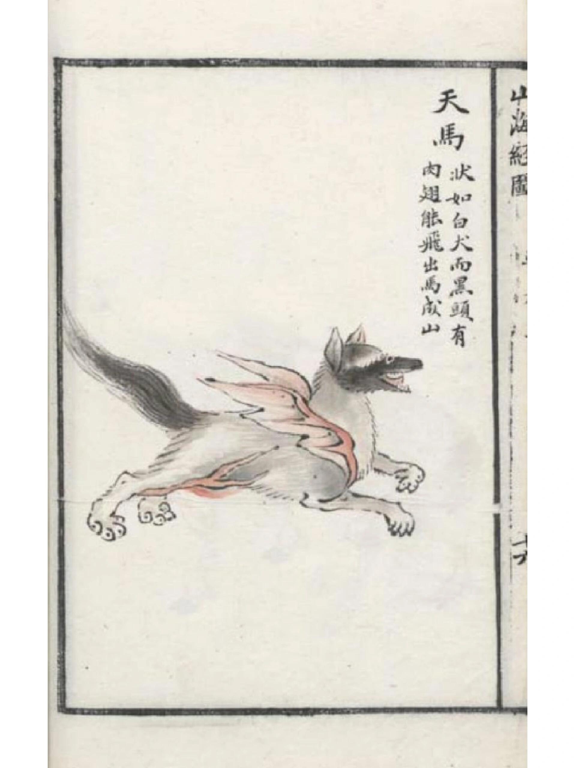 冷知识78《山海经》中"天马"长什么样 《山海经·北山经》中记录