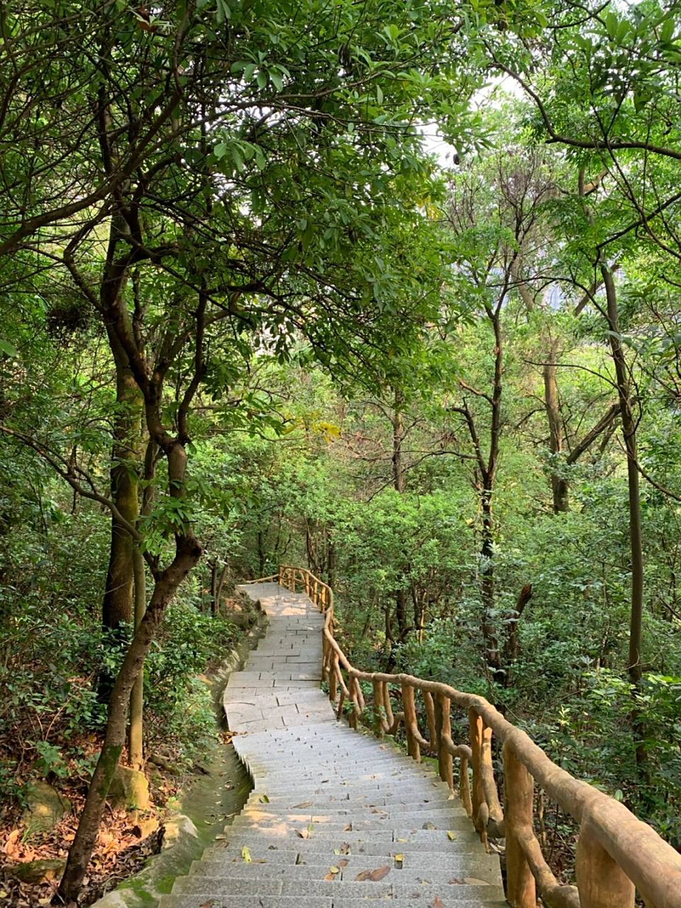 铁仔山公园真的是宝藏地 爬到顶部可以看到远处的海 还有起飞的飞机