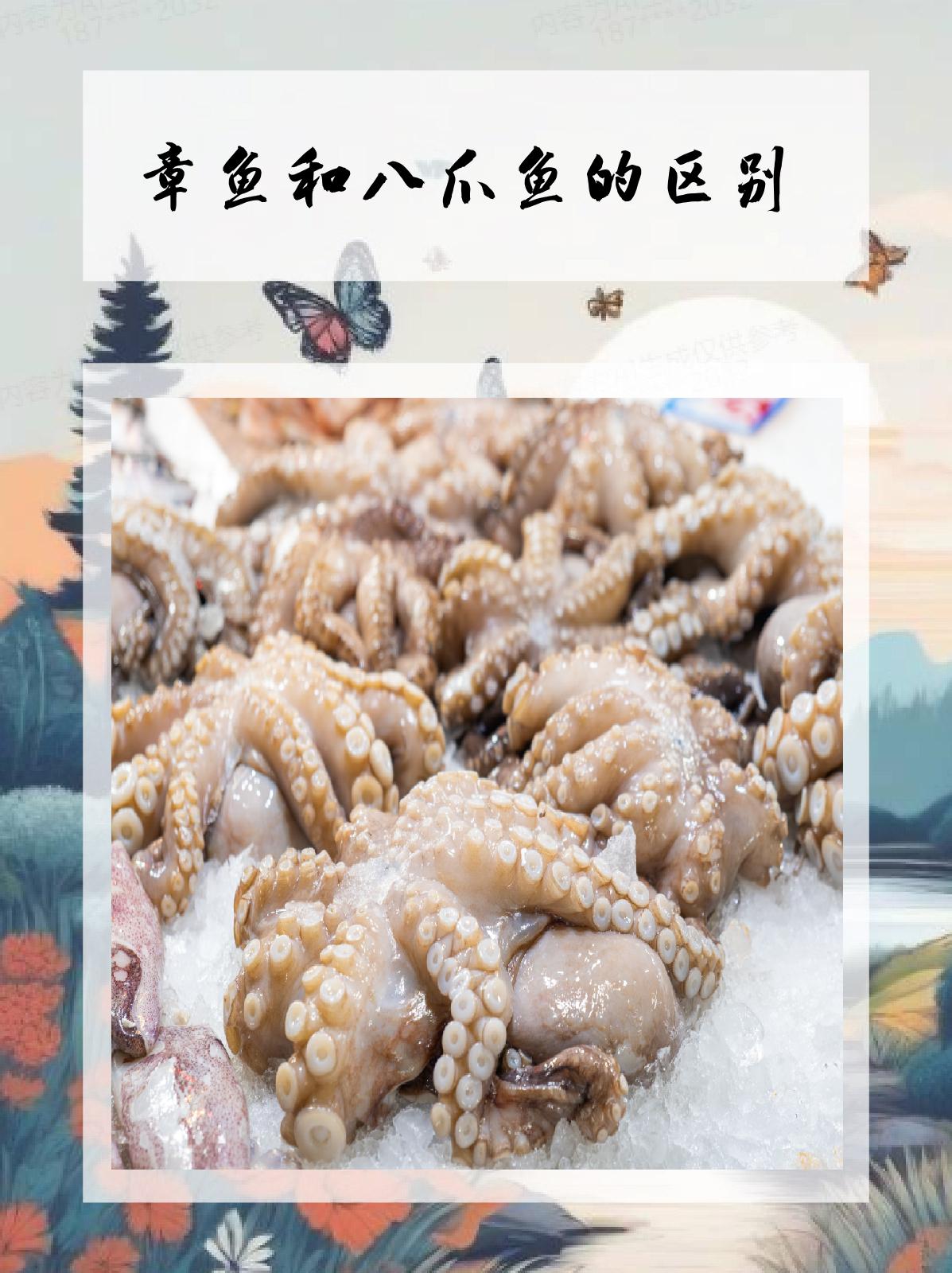 章鱼和八爪鱼的区别 我认为,章鱼和八爪鱼虽然都属于头足类动物,但在