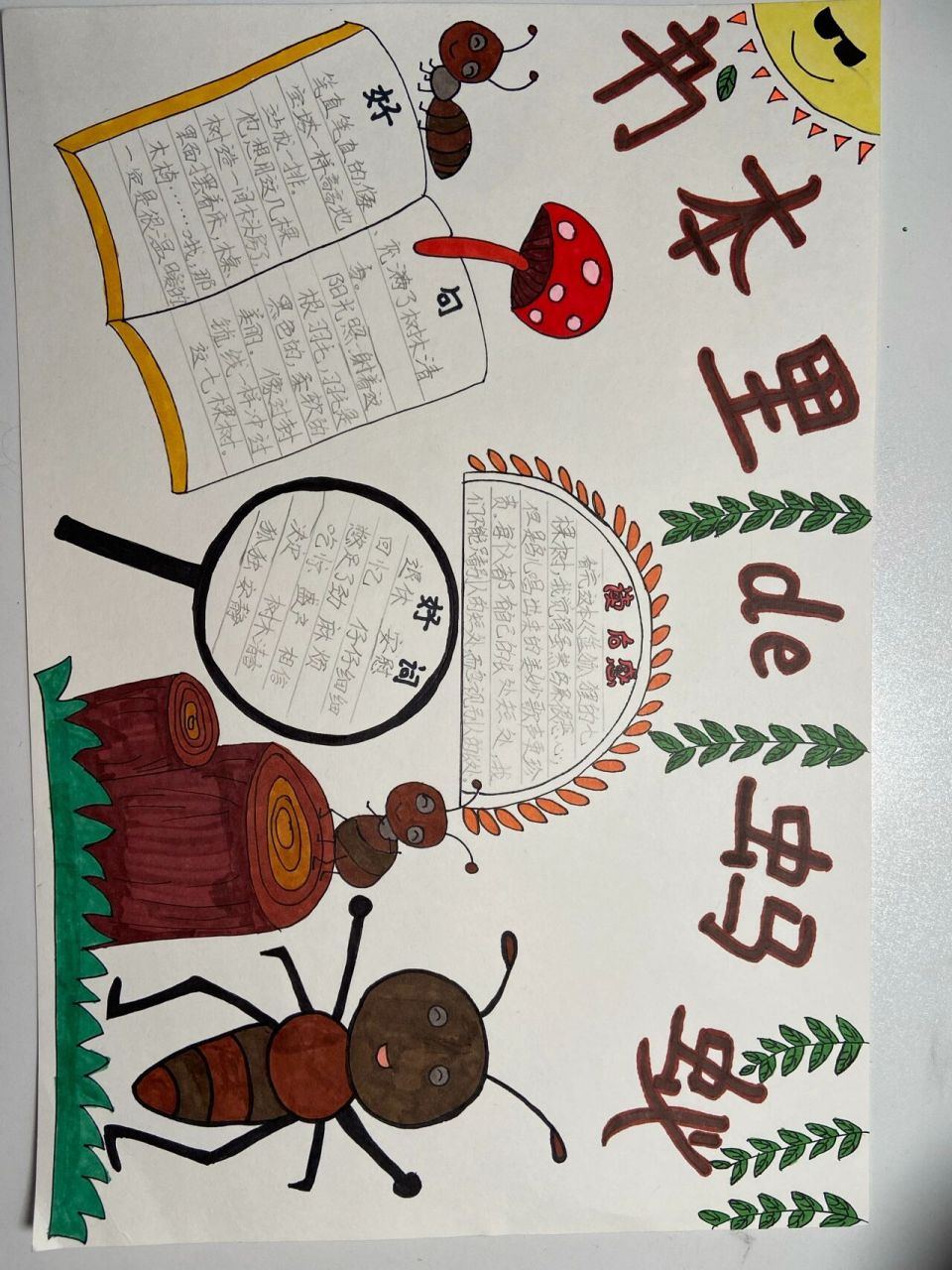 书本里的蚂蚁92手抄报