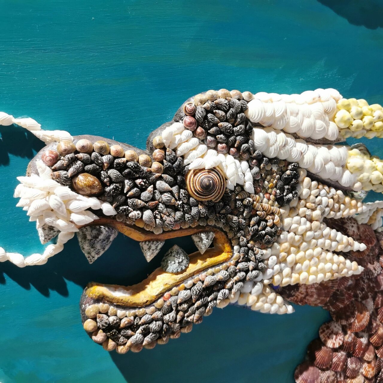 今天去威高海洋馆二楼展厅拍的 新增加了好些贝壳画,太厉害了 好看