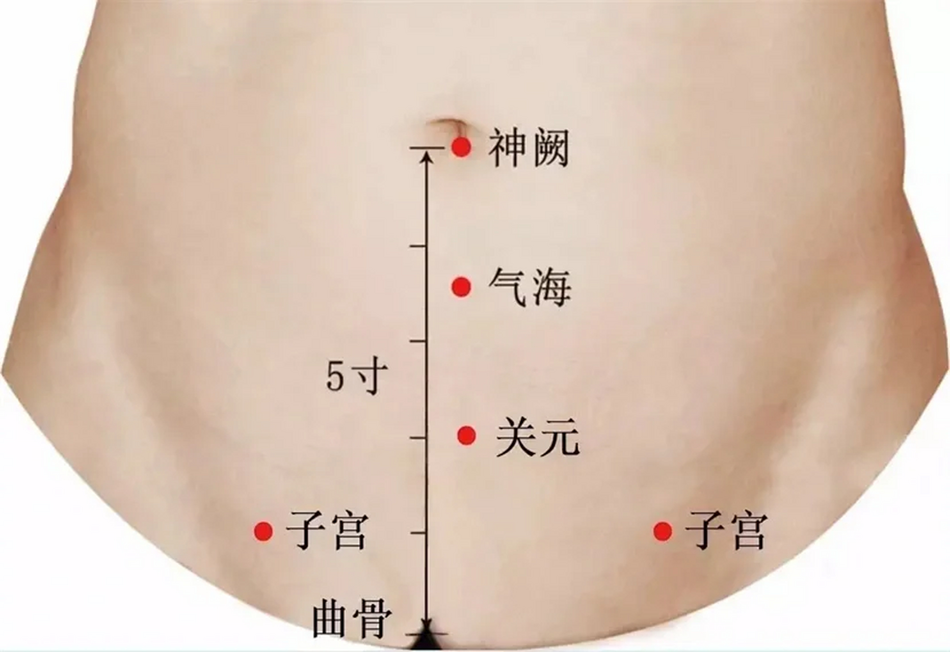 心脏艾灸的准确位置图图片