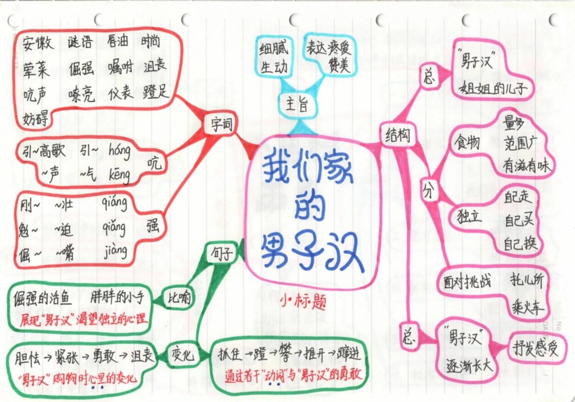 四下语文 二十课 我们家的男子汉 思维导图 四下语文 二十课 我们家的