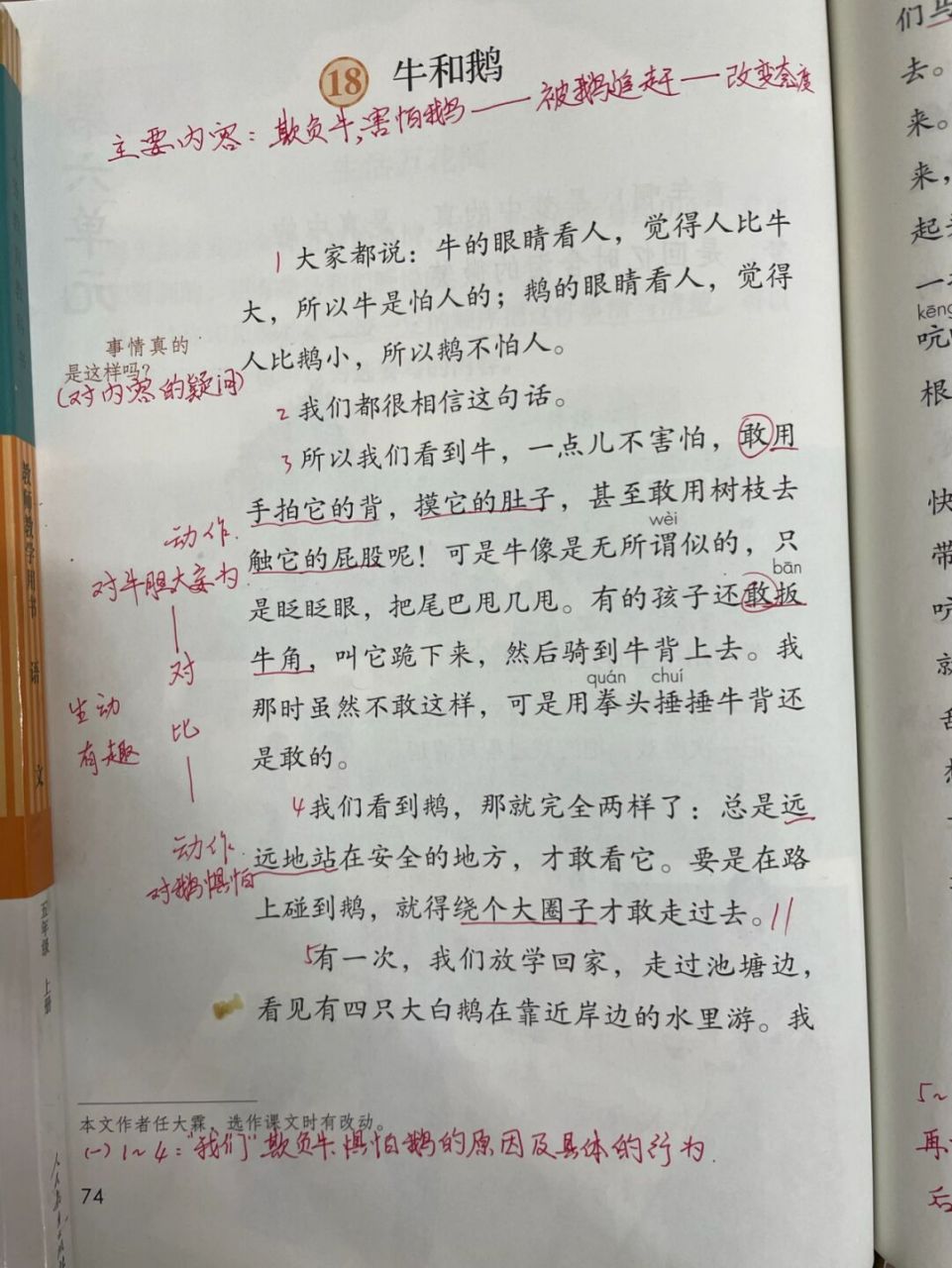 四年级上册18《牛和鹅》预习笔记#小学语文#预习笔记#教师备课