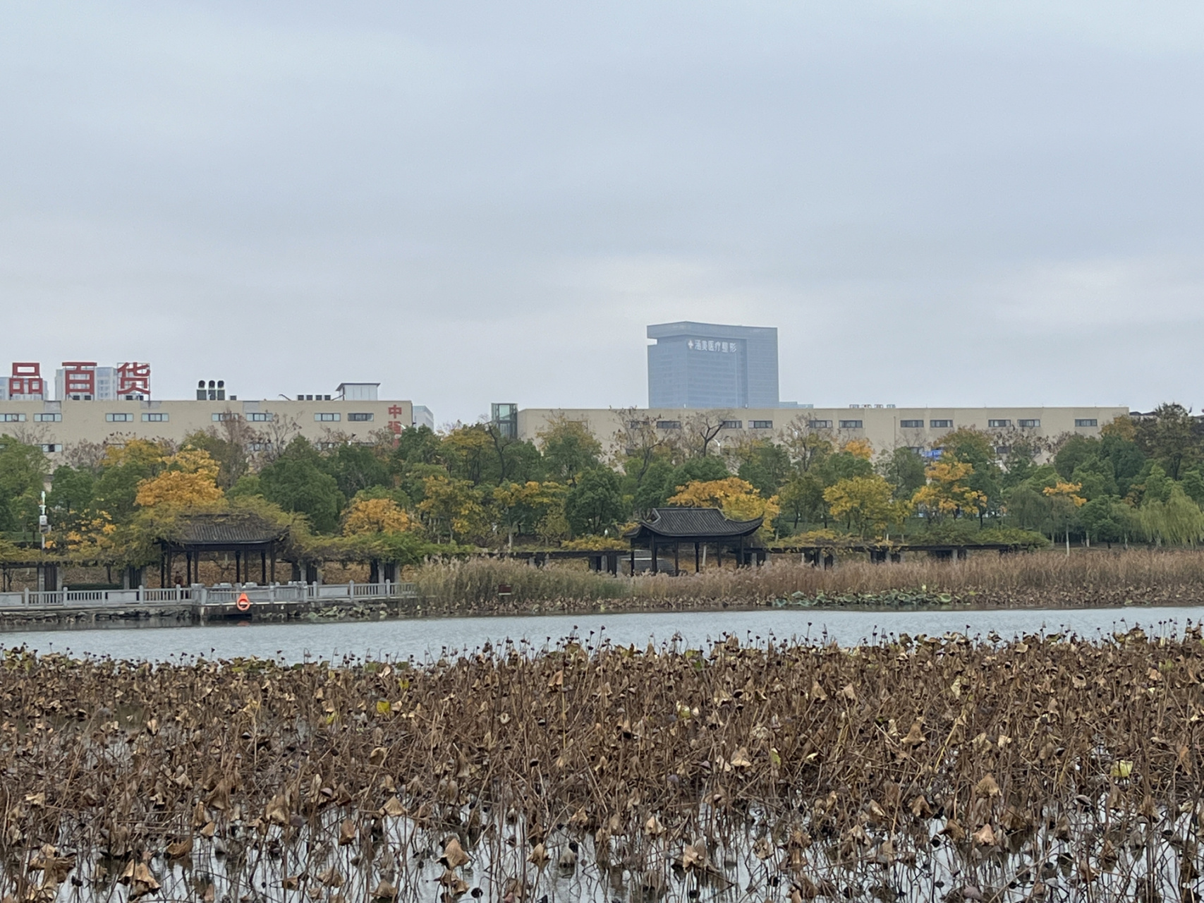 合肥遛娃好去处——陶冲湖公园 公园很大,水域面积也很大,免费停车
