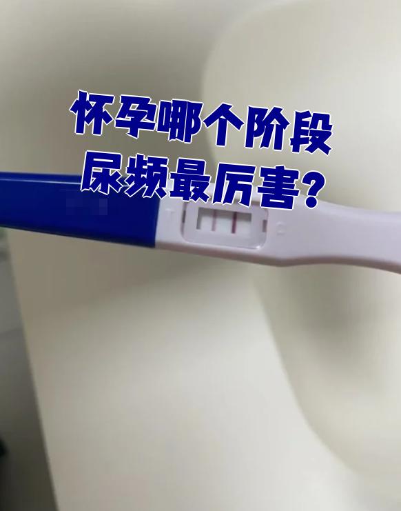 早孕为什么会尿频 早孕为什么会尿频