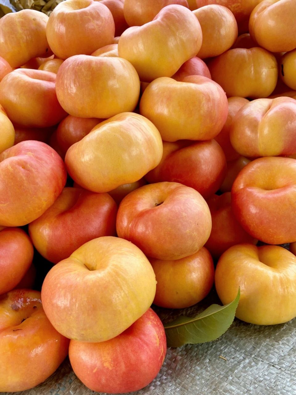 一些关于黄油蟠桃618的说明~ 黄油蟠桃六月20左右开始成熟,马上迎来