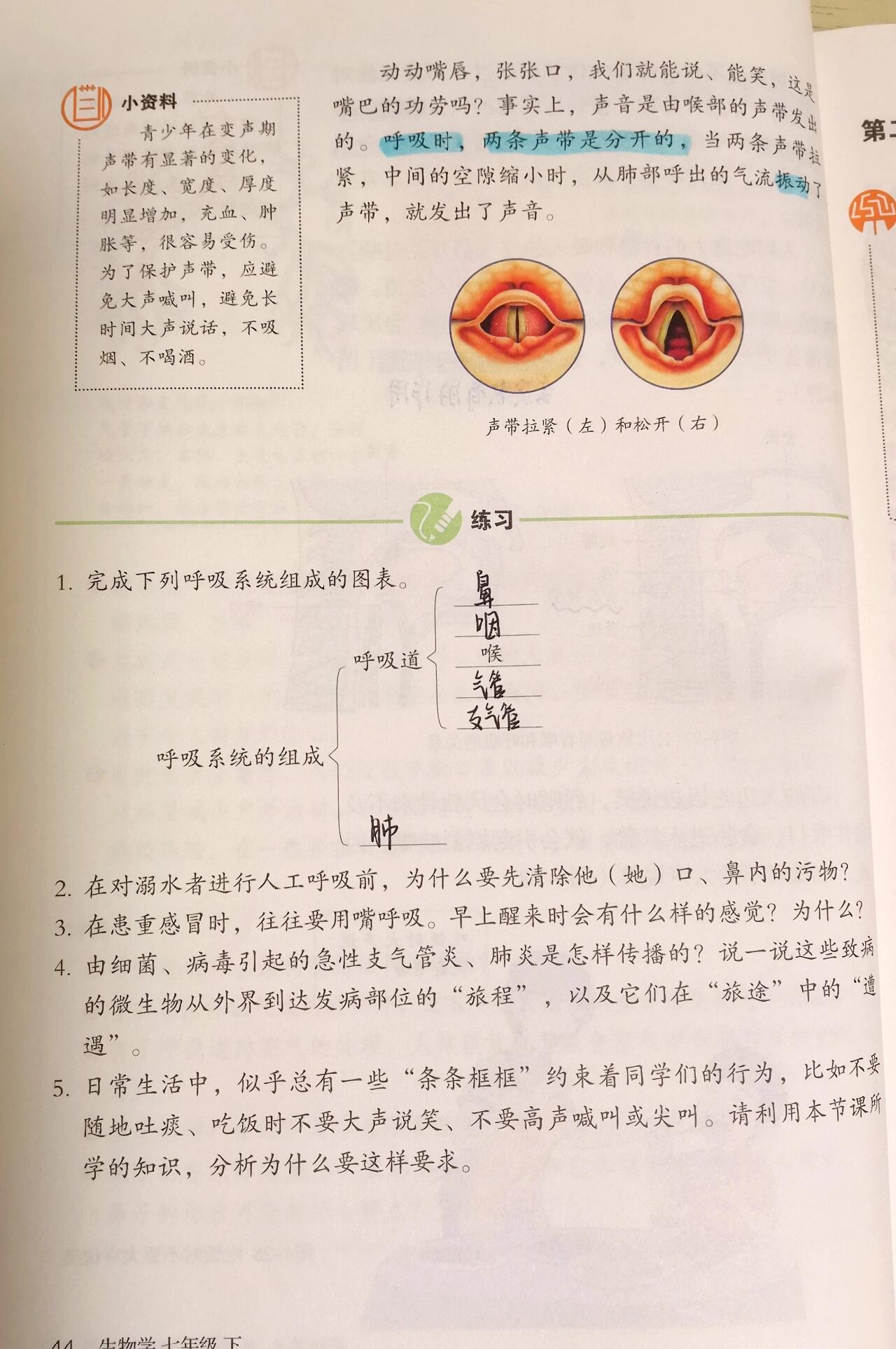 第三章,人体的呼吸生物笔记 芜湖?