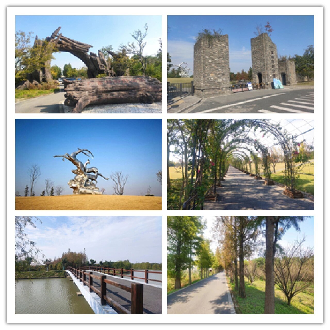 上海八大郊野公园 1,青西郊野公园 青西郊野公园,位于青浦区大莲湖畔