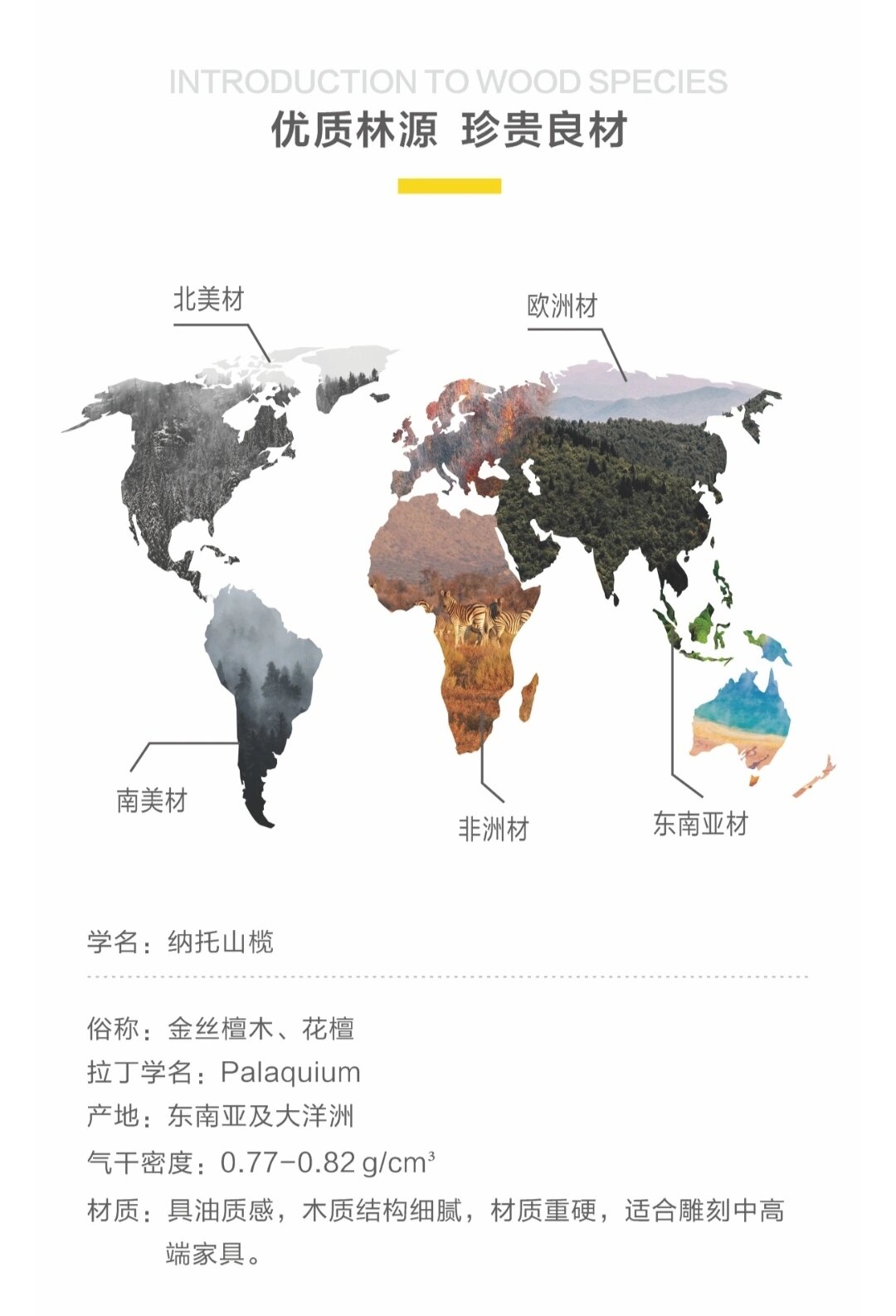 纳托山榄-金丝檀木